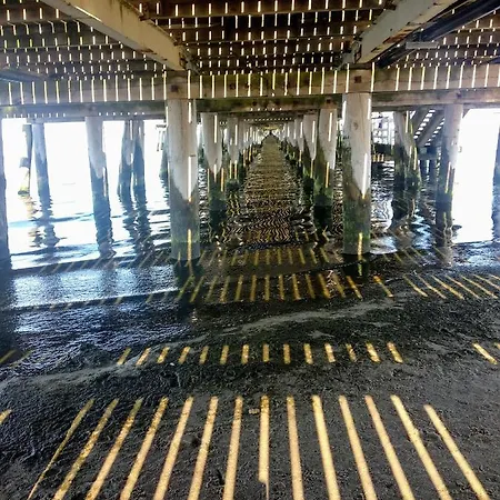 Apartament Z Widokiem Na Las * Sopot